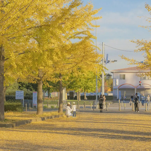 16日本XXXXXXXXX黑人
